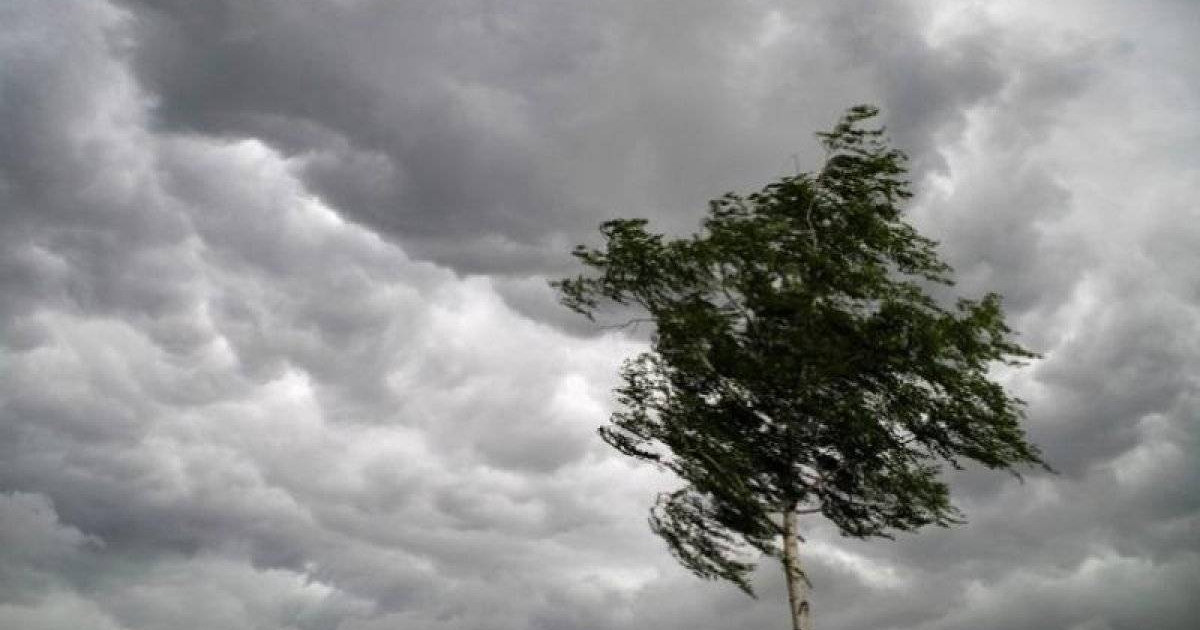 Көптеген майлы порно фотосуреттер