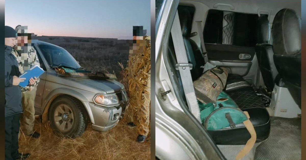 Екеуі бір-бірінің аузын сорып алады