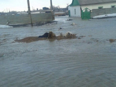 ІІМ: 5 облыстағы қолайсыз ахуал 7-10 күнде тұрақталады