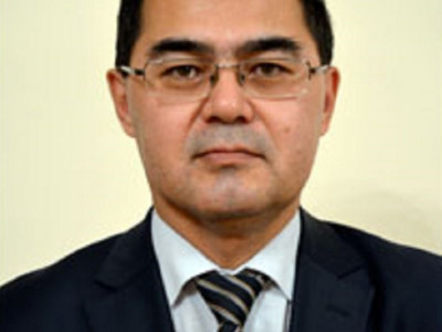 «Көсемді» ұнатпайтын куратор