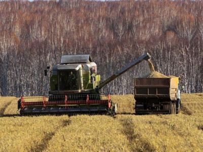 Ақмола облысында күзгі жиын-теріннің 50 пайызы орындалды
