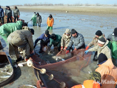 Балық та қазақтың бір байлығы - балық өнімдеріне сұраныс артып келеді