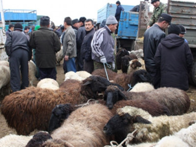 Алматы облысында үш ағайындының өліміне қатысты іс сот органына түсті