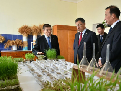 ОҚО әкімі Мақтарал ауданына жұмыс сапармен барды