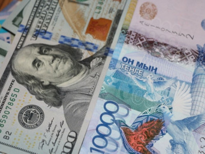 2017 жылы доллар  400 теңгеге жетуі мүмкін