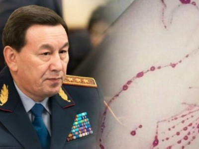 Ішкі істер министрі "Синий кит" ойыны жайлы айтып берді