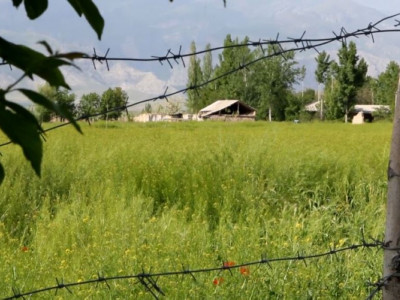 Қырғыз-өзбек шекарасына қатысты келіссөздер сәтті өтті