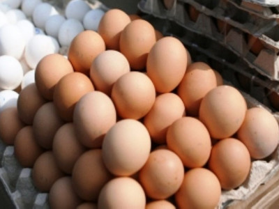 Жұмыртқадан қауіпті химиялық заттар табылды