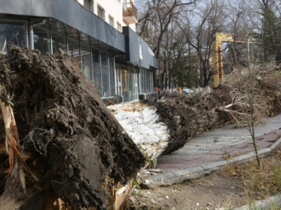 Жамбыл облысында дауылдан қаза тапқандар отбасына көмек көрсетіледі