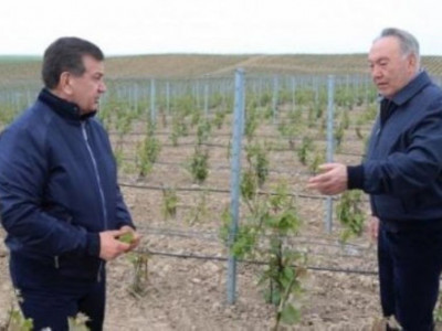 Нұрсұлтан Назарбаев Өзбекстан президентін туған күнімен құттықтады