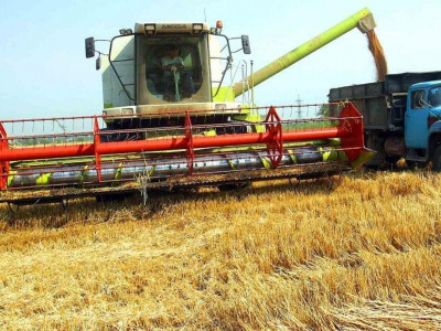 Қарағанды облысында егін түсімі бөмен болуы мүмкін