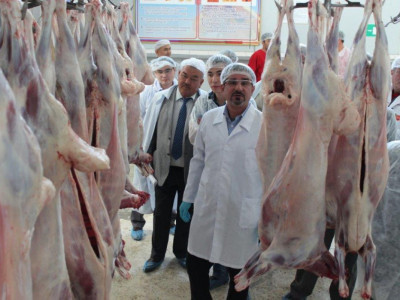 Иранға 18 тонна қой еті жіберілді