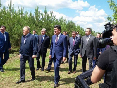 Астананың қорғаны – қалың орман