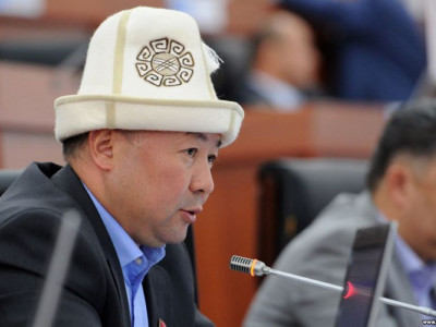 Билікті күшпен басып алмақ болған қырғыз депутаты қамалды