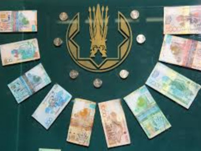Мәжіліс депутаты: Үкімет валюталық бақылауды өз мойнына алуы тиіс