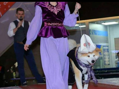 Ақ қалпақ үшін ашулы