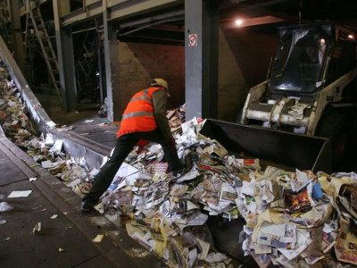 Қалың орманы аз Қазақстан қағаз тапшылығын тартуы мүмкін