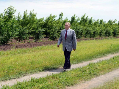 Жасыл желекке малынған жаңа қала