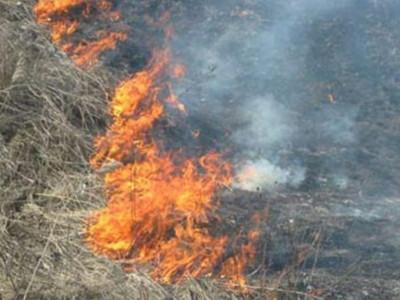 Өскеменді қою түтін басты