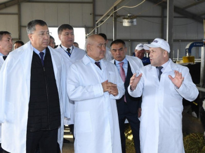 Қазаққа зор қуаныш – Қанат жайған ауылдар