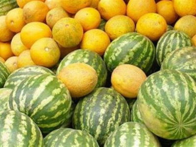 Отырар диқандары олжалы