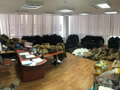 ЖАСЫРАМЫН ДЕП  ЖАРҒА ЖЫҒЫЛДЫ