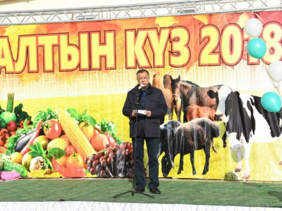 Сарыағаштық диқандар 60 млрд теңгенің өнімін өндірді