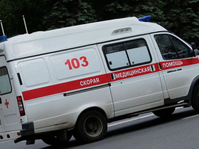 Жылқы кесірінен болған жол апатынан 5 адам қаза тапты