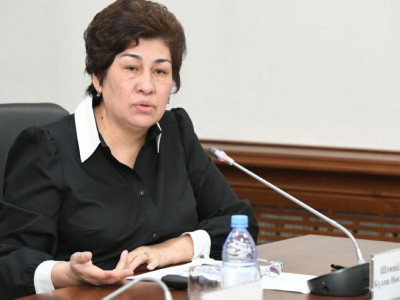 Күләш Шәмшидинова: Қате оқулықтарды түзейміз