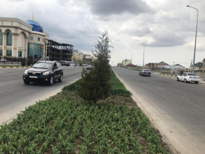 Шымкентте Назарбаев даңғылы пайда болды