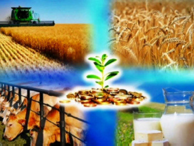 Аграрлық салаға кәсіби маман керек
