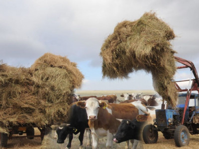 Ауылда да бақуатты өмір  сүруге мүмкіндік көп