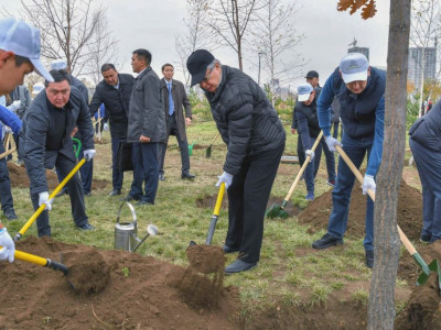 Мемлекет басшысы сенбілікке қатысып, көшет отырғызды