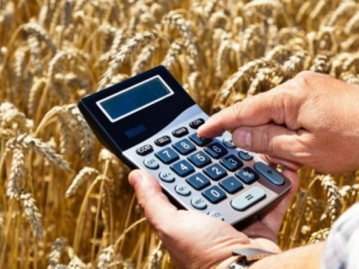 Субсидия беру тәсілі неліктен жыл сайын өзгереді?