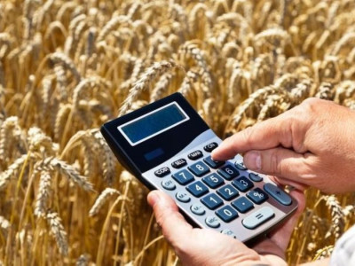 Aуыл шаруашылығы субсидиясын басқа мақсатта жұмсауды қою керек – министр