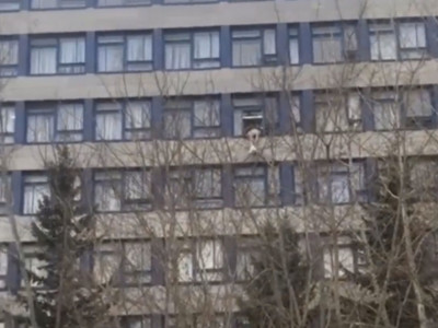 Көкшетаулық студент университеттің 6-қабатынан секіріп кетті