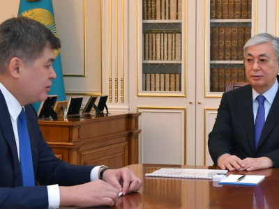 Елжан Біртанов Президентке есеп берді