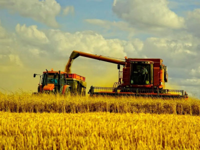 Министр диқандардың мәселесін шешіп беретін болды