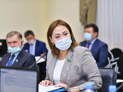 Дәрігерлер мен журналистердің кәсіби құқықтары заңмен қорғалуы тиіс – сенатор