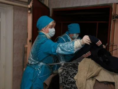 Мамандар киім-кешекті вирустан тазарту жолын түсіндірді