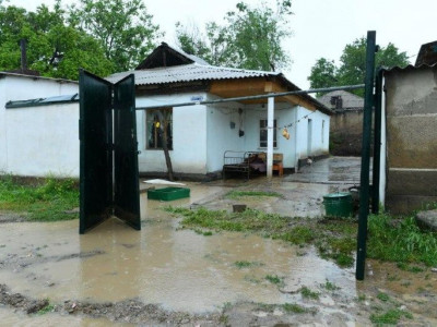 Мақтаарал тұрғындары төлебиліктерге көмек қолын созды