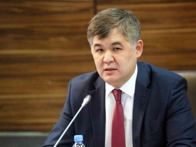 Елжан Біртанов министр лауазымынан босатылу себебін түсіндірді