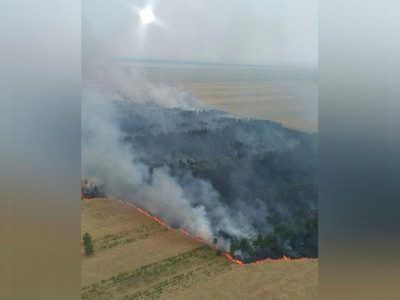 Ертіс орманындағы алапат өртті тікұшақпен сөндіріп жатыр (видео)