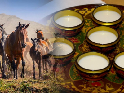 Қымыз, шұбат − барың да, нәрің де осы