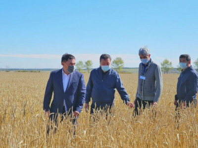 Пандемия шаруаларды ширатпаса, ісіне бөгет болған жоқ