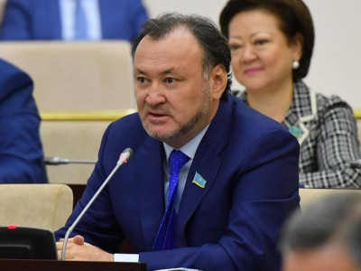 Онлайн оқытудың машақаты: Сенатор Премьер-министрге депутаттық сауал жолдады