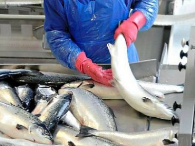 Ресейден экспортталған өнімдерден коронавирус табылды