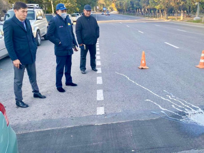 Нұротандықтар Алматыдағы жол жөндеу жұмыстарының сапасын бақылауға алды