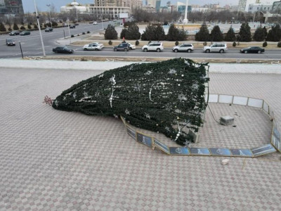 Ақтауда орталық алаңдағы бас шырша құлады