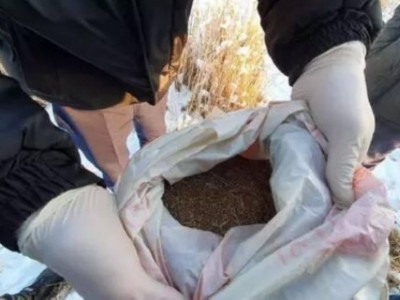 Жамбылдық полицейлер үйінде 3 қап есірткі сақтаған ер адамды ұстады